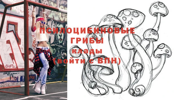 молекула духа Бугульма