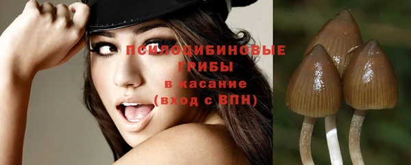 mdpv Бородино