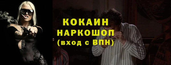 mdpv Бородино