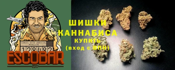 mdpv Бородино