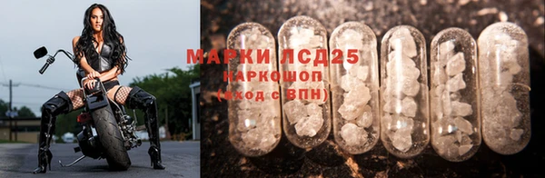 молекула духа Бугульма
