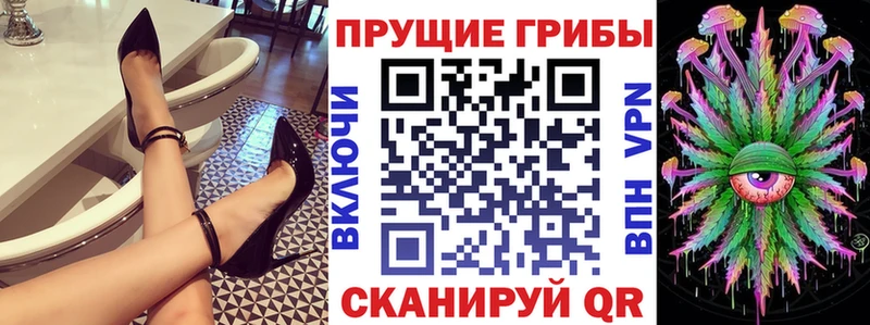ОМГ ОМГ вход Гусь-Хрустальный Псилоцибиновые грибы Psilocybine cubensis